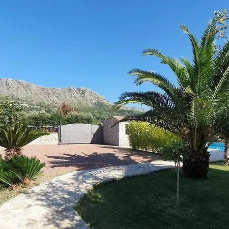 Palm With Swimming Pool Lejlighed *