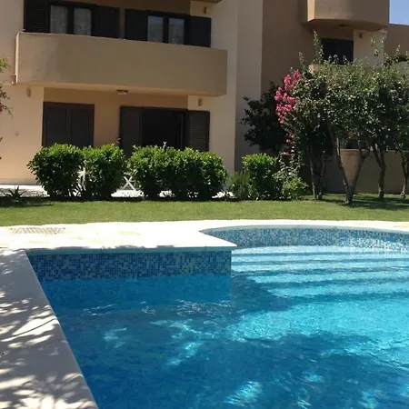Palm With Swimming Pool *